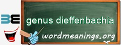 WordMeaning blackboard for genus dieffenbachia